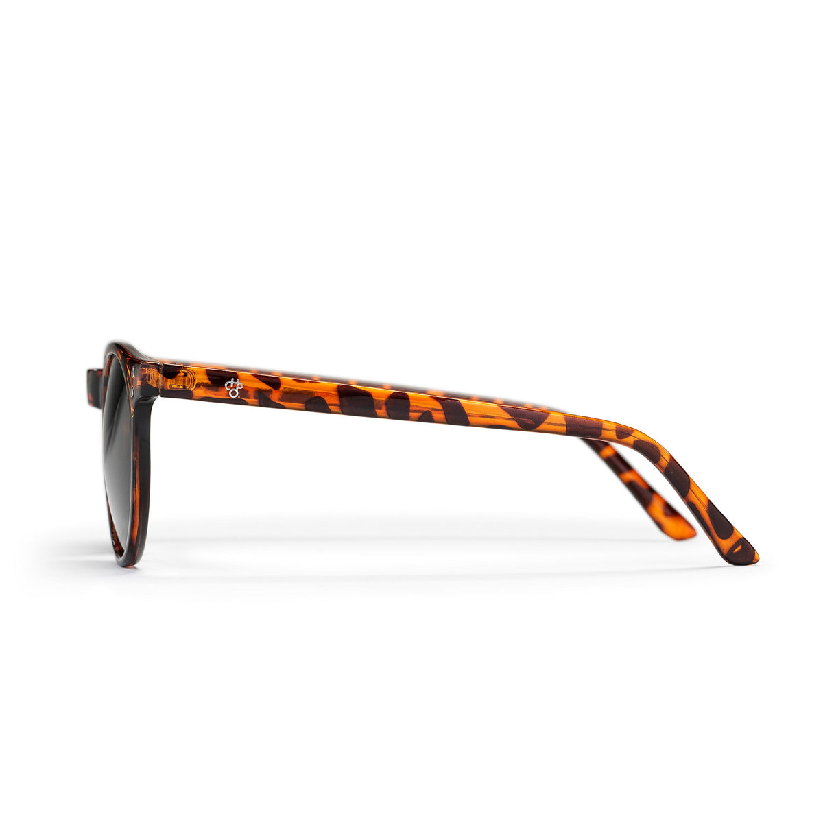 Toro Sunglasses TURTLE BROWN - Image 3
