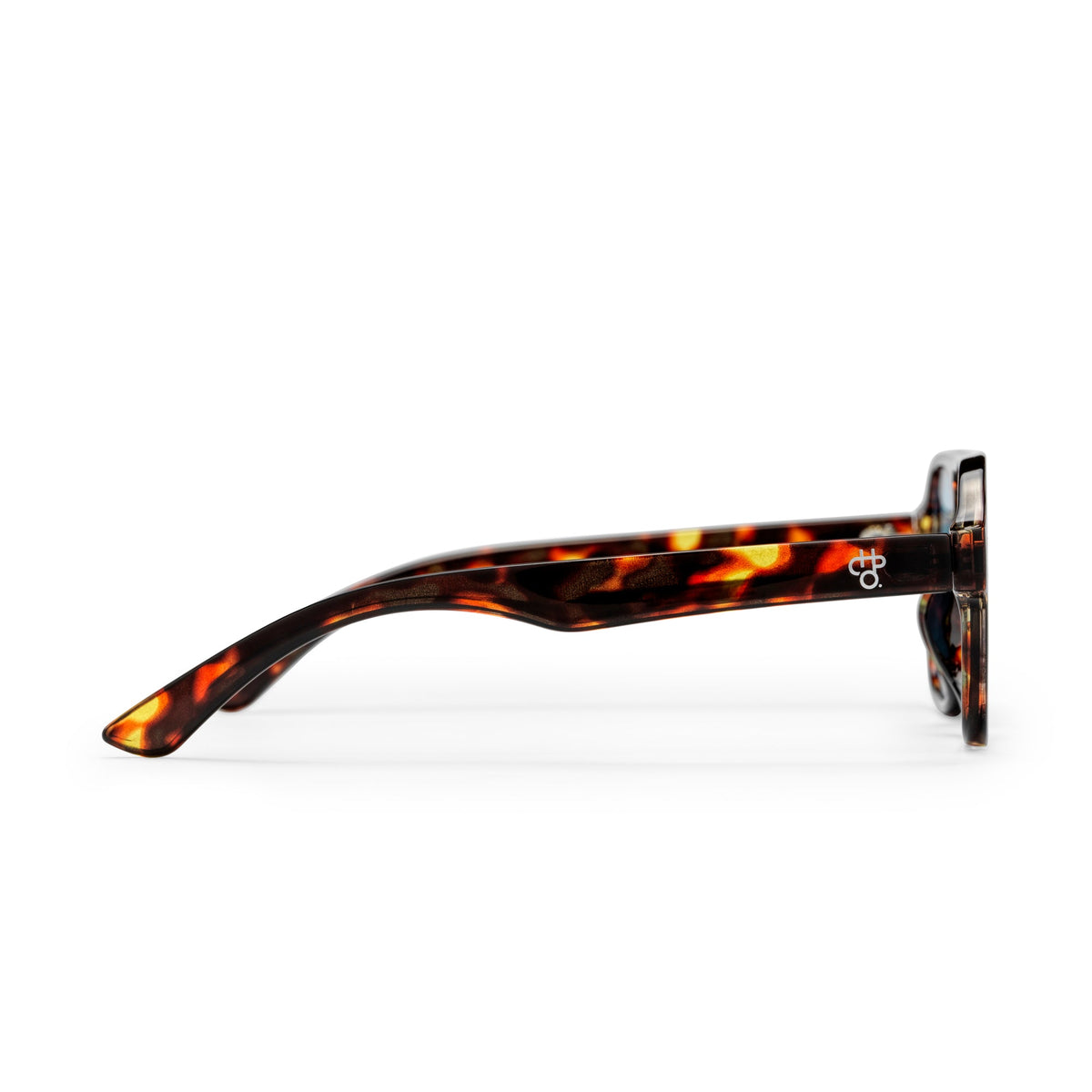 Cocas Sunglasses TURTLE BROWN - Image 3