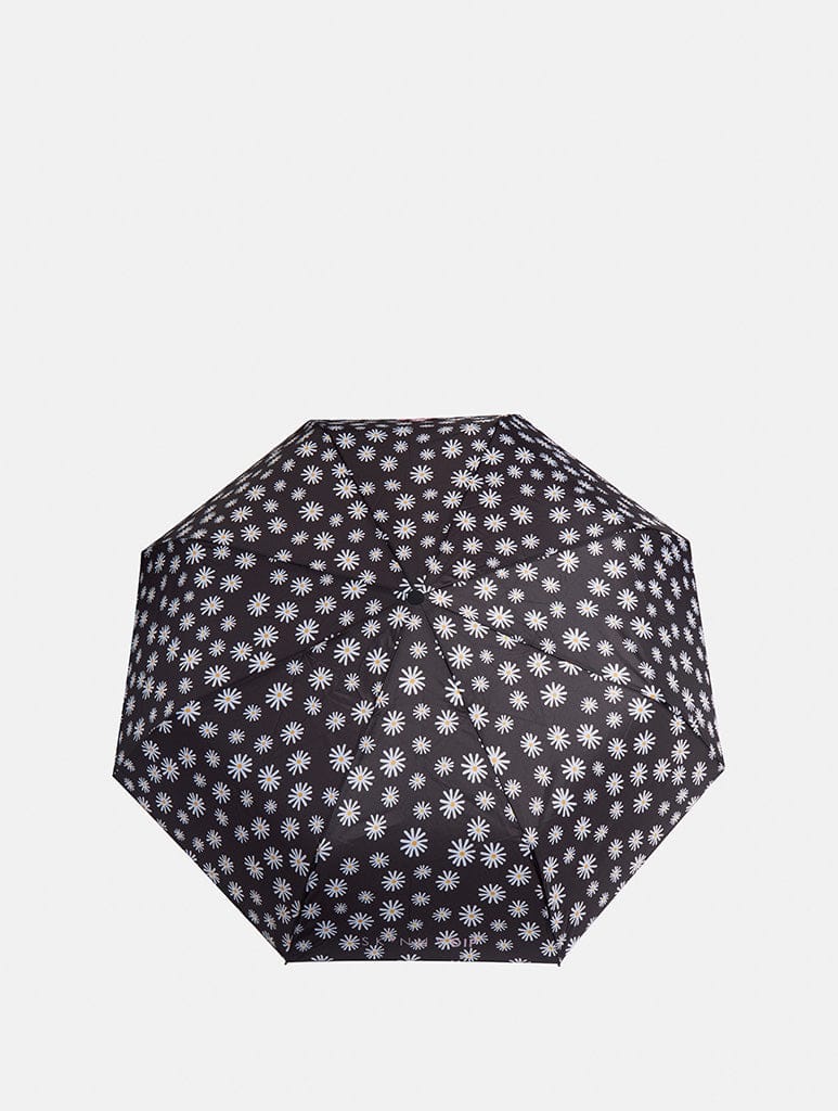 Daisy Umbrella - Image 4