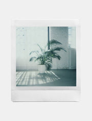 Instax Square Twin Film Pack